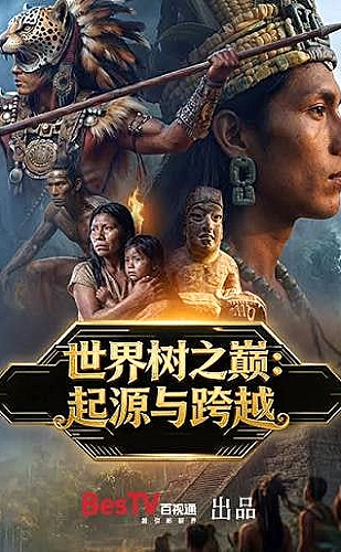 色猫直播观看指南与舒适播放设置