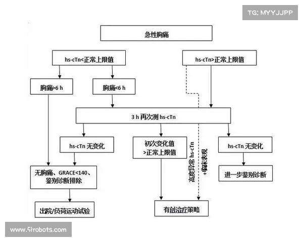 深入剖析五大联赛风格特色与竞技差异的全景化多维度综合解读详析